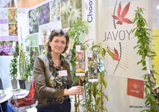 Marie of Javoy. In retail market they want something useful, something to eat. Yellow kiwi actinidia can be very expensive. It is easy to grow and can have a lot of fruits. A male and a gemale plant is needed. Other strong tendency they notice is hardiness in the clematis. “We work on breeding and we two plants so that its flowering period is in Christmas and in summer too. It is very easy to grow.”